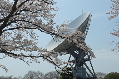 180401パラボラ＆桜.jpg